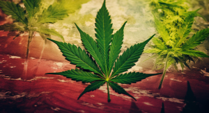 michigan cannabis payment solutions